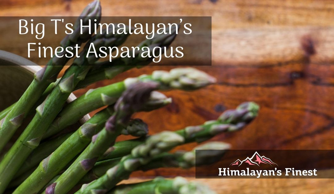 Big Ts Himalayan’s Finest Asparagus